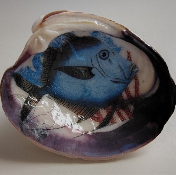 Decorative Blue Fish Shell - Picture 1 of 1